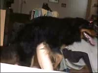 Gay teen animal sex on cam